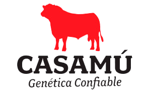 Logo Casamú